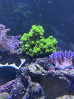 IMG_3555.jpeg