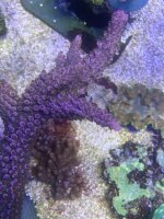 IMG_1378.jpeg