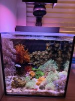 IMG_0424.jpeg