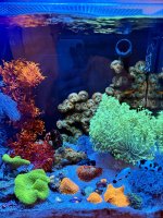 IMG_0275.jpeg