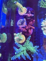 IMG_6925.jpeg