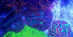 20260625_211953.jpg