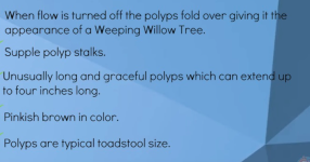 1782578621939.png