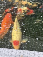 IMG_6044.jpeg