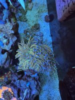 IMG_3375.jpeg