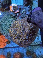 IMG_3371.jpeg