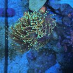 IMG_3366.jpeg