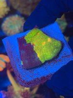 IMG_6786.jpeg