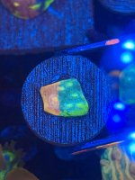 IMG_6782.jpeg
