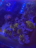 IMG_1960.jpeg