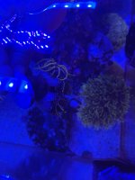 IMG_1956.jpeg