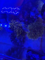 IMG_1955.jpeg