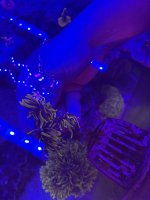 IMG_1951.jpeg