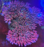 IMG_5963.jpg