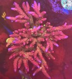IMG_5981.jpeg