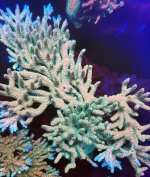 IMG_5961.jpg