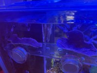 IMG_7895.jpeg
