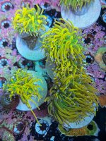 IMG_9353.jpeg