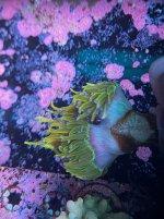 IMG_9360.jpeg