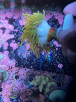 IMG_9354.jpeg