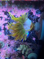 IMG_9356.jpeg