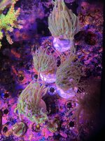 IMG_9361.jpeg