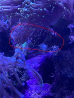 IMG_3345.jpeg