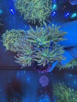 IMG_2194.jpeg
