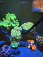 IMG_2197.jpeg
