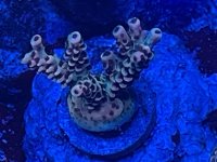 IMG_0984.jpeg