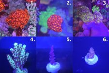 Sheet_01_frags_1-6.jpg