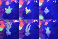 Sheet_08_frags_43-48.jpg