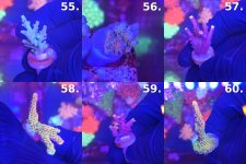 Sheet_10_frags_55-60.jpg