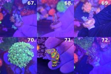 Sheet_12_frags_67-72.jpg