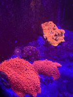 IMG_1401.jpeg