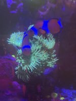 IMG_0745.jpeg