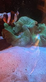 2AA57909-0197-4537-B0CA-4644A60536F0.jpeg