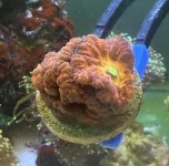 IMG_1562.jpeg