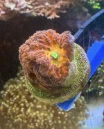IMG_1563.jpeg