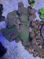 IMG_3760.jpeg
