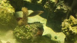 20260805_185447.jpg