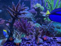 IMG_8596.jpeg IMG_8596.jpeg