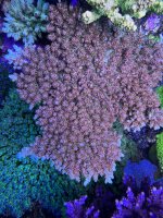 IMG_8157.jpeg IMG_8157.jpeg