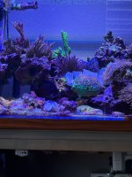 IMG_0765.jpeg
