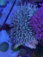 IMG_6785.jpeg IMG_6785.jpeg