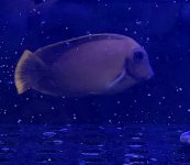 IMG_6741.jpeg