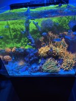 IMG_4150.jpeg
