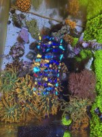 IMG_4141.jpeg