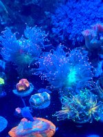 IMG_8400.jpeg