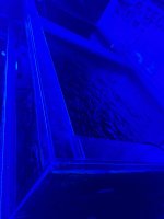 IMG_5660.jpeg IMG_5660.jpeg